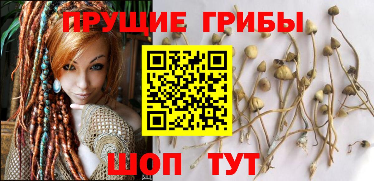 Галлюциногенные грибы ЛСД  Вход с VPN  Богородицк 